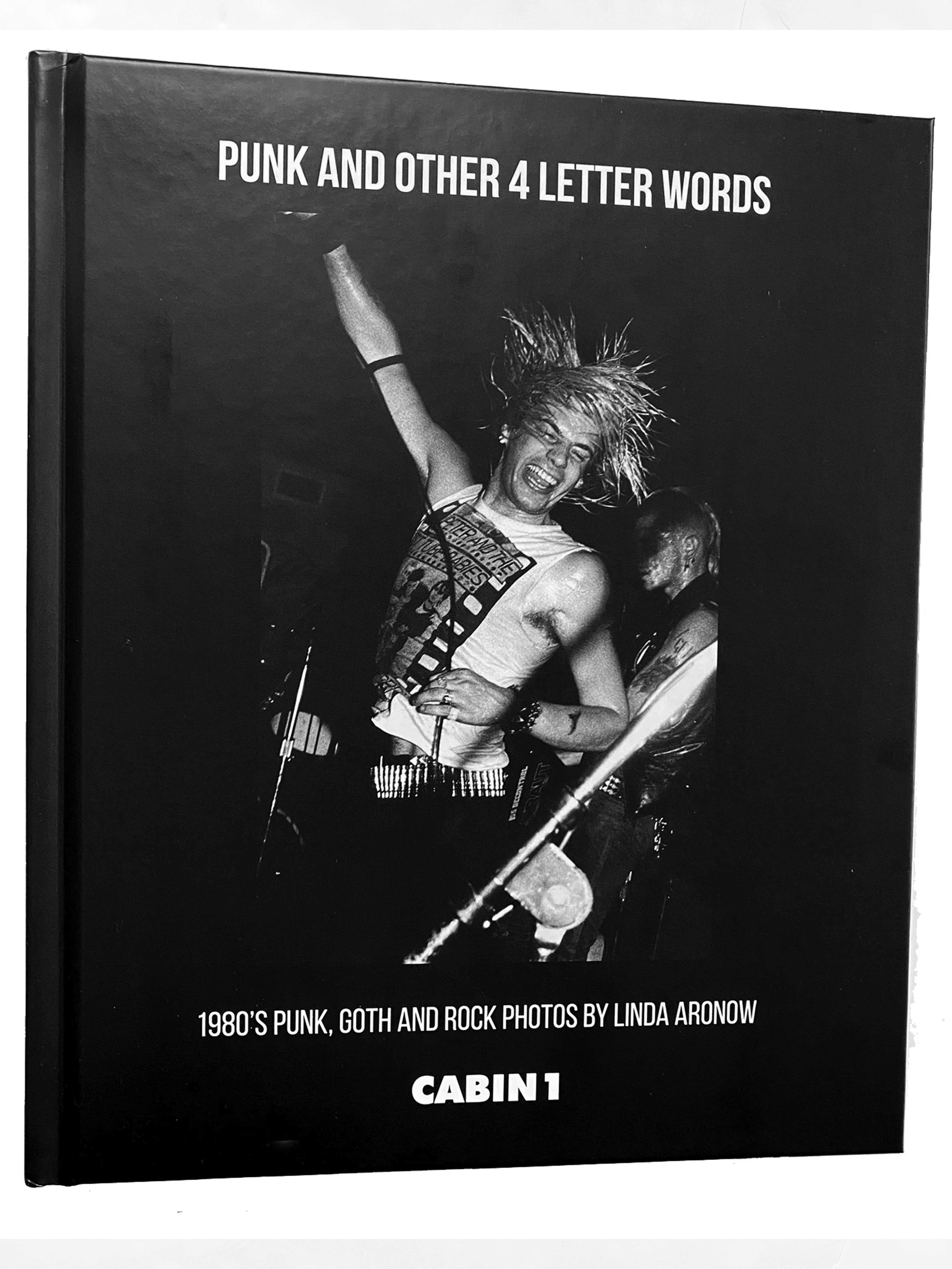Punk and Other Four Letter Words