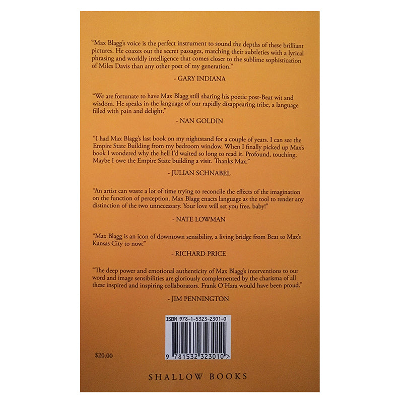 Slow Dazzle - Poems & Prose for 25 Artists