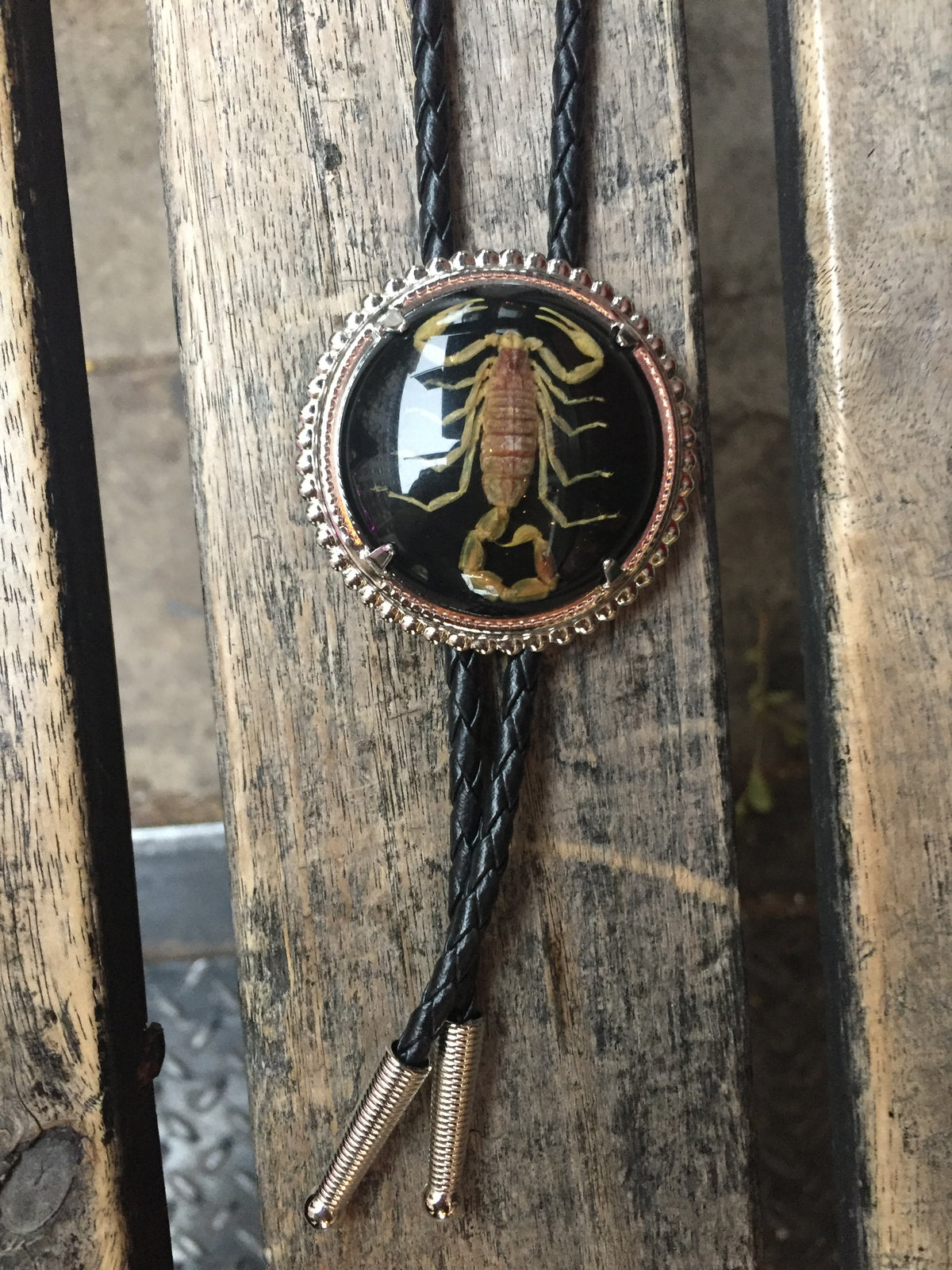 Scorpion Bolo Tie